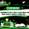 BSF Meaning in Text What Is BSF Mean and What Does It Really Stand For