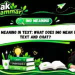 IMO Meaning in Text_ What Does IMO Mean in Text and Chat