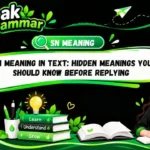 SN Meaning in Text_ Hidden Meanings You Should Know Before Replying