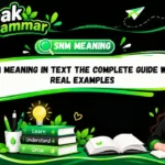 SNM Meaning in Text The Complete Guide With Real Examples
