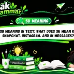 SU Meaning in Text_ What Does SU Mean