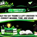 Should You Say Thanks a Lot_ Discover the Correct Meaning, Tone, and Usage