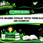 TikTok meaning Popular TikTok Terms,Slangs and Examples